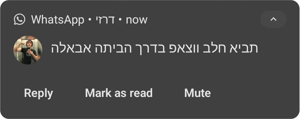 המלצה בוואטסאפ מדרזי