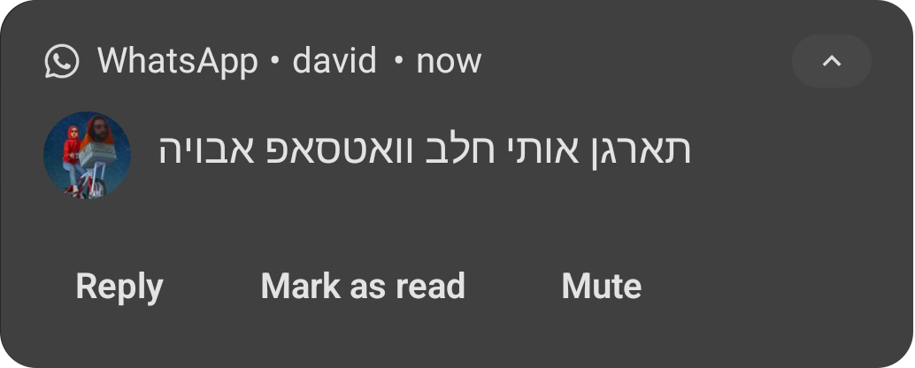 המלצה בוואטסאפ מדיוויד