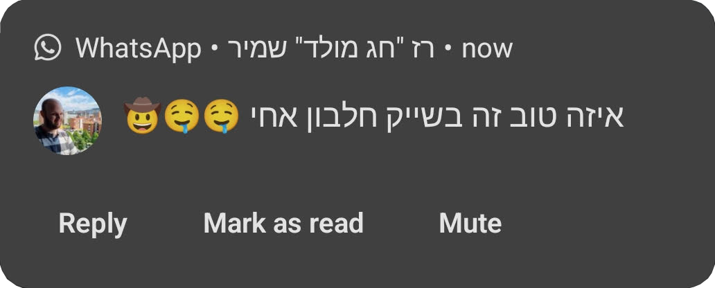 המלצה בוואטסאפ משמיר